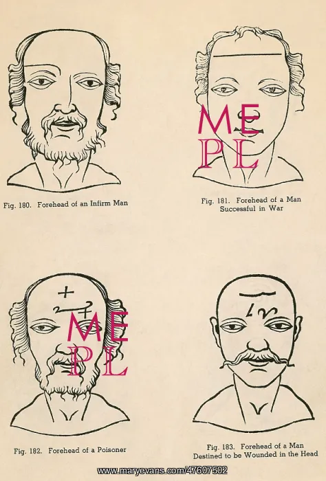 : Physiognomy : Physiognomy