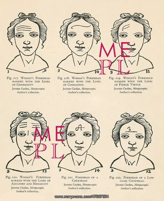 : Physiognomy : Physiognomy