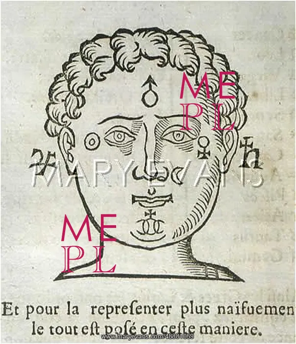 : PHYSIOGNOMY : PHYSIOGNOMY