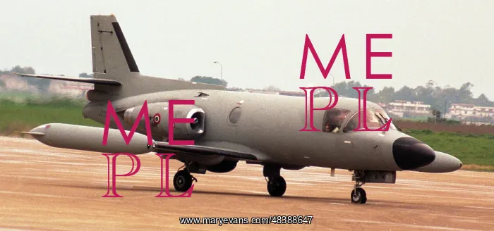 : Piaggio-Douglas PD.808GE : Piaggio-Douglas PD.808GE