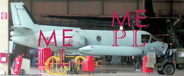 : Piaggio-Douglas PD.808GE MM61962 : Piaggio-Douglas PD.808GE MM61962