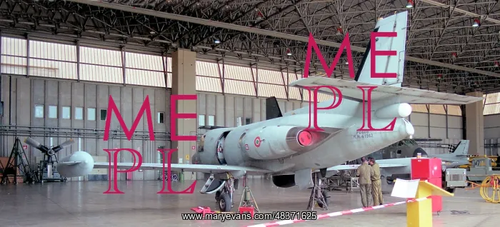 : Piaggio-Douglas PD.808GE MM61962 : Piaggio-Douglas PD.808GE MM61962