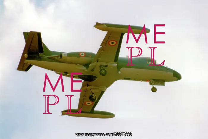 : Piaggio-Douglas PD.808GE1 MM61961 : Piaggio-Douglas PD.808GE1 MM61961