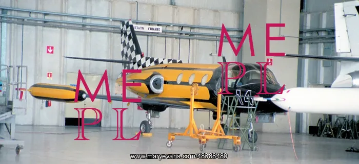 : Piaggio-Douglas PD.808RM MM62016 : Piaggio-Douglas PD.808RM MM62016