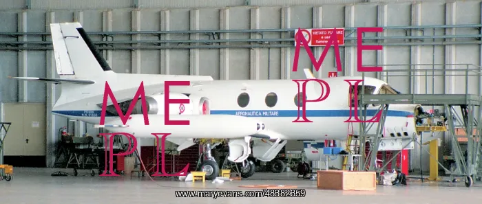 : Piaggio-Douglas PD.808TA MM61950 : Piaggio-Douglas PD.808TA MM61950