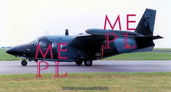 : Piaggio P-166DL-3 MM25155 - 303-22 : Piaggio P-166DL-3 MM25155 - 303-22