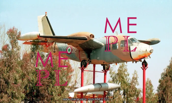 : Piaggio P-166M MM61876 - 303-32 : Piaggio P-166M MM61876 - 303-32