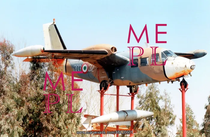: Piaggio P-166M MM61876 / 303-32 : Piaggio P-166M MM61876 / 303-32