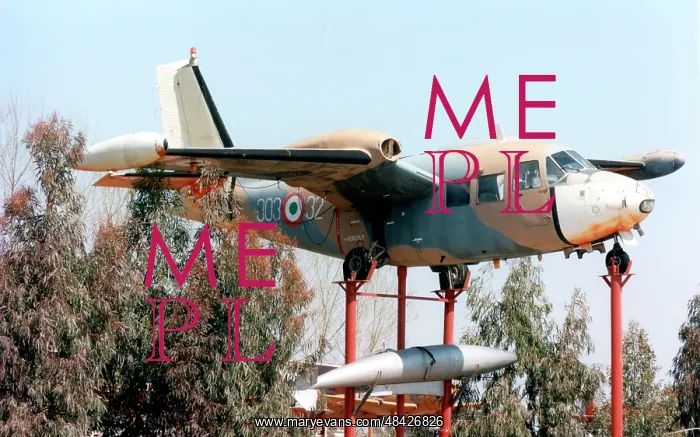 : Piaggio P-166M MM61876 - 303-32 : Piaggio P-166M MM61876 - 303-32