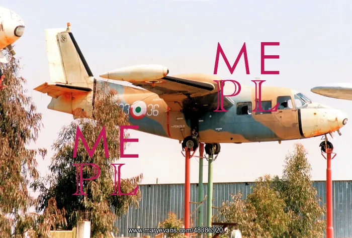 : Piaggio P-166M MM61916 - 303-36 : Piaggio P-166M MM61916 - 303-36