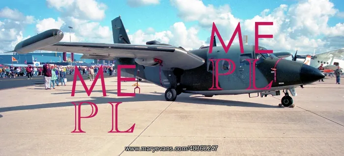 : Piaggio P-166M MM61929 - VV-33 : Piaggio P-166M MM61929 - VV-33
