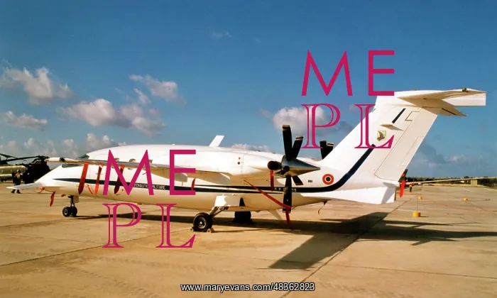  : Piaggio P-180 Avanti MM62205