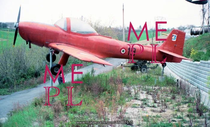 : Piaggio P.148 MM53727 - 19 : Piaggio P.148 MM53727 - 19