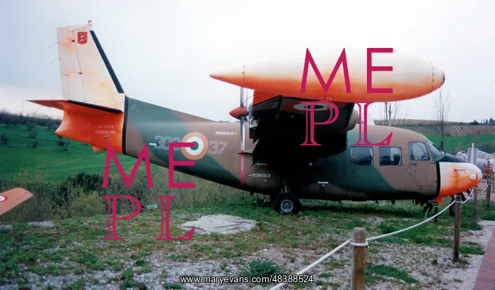 : Piaggio P.166 MM61913 - 303-37 : Piaggio P.166 MM61913 - 303-37