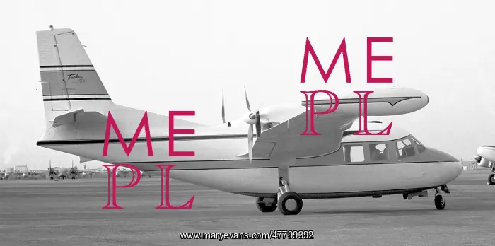 : Piaggio P.166 N7650E : Piaggio P.166 N7650E