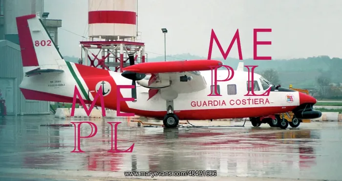 : Piaggio P.166DL-3 MM25160 - 8-02 : Piaggio P.166DL-3 MM25160 - 8-02