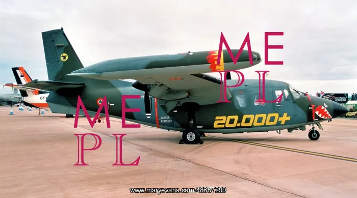 : Piaggio P.166DL-3APH MM25157 : Piaggio P.166DL-3APH MM25157