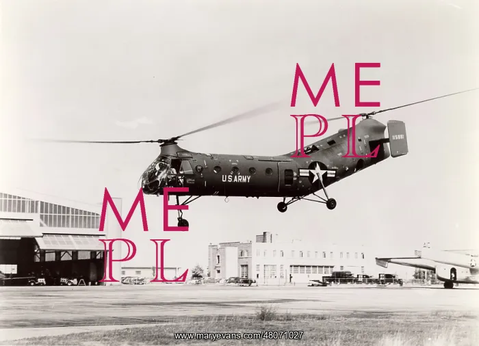 : Piasecki H-21C 115881 : Piasecki H-21C 115881