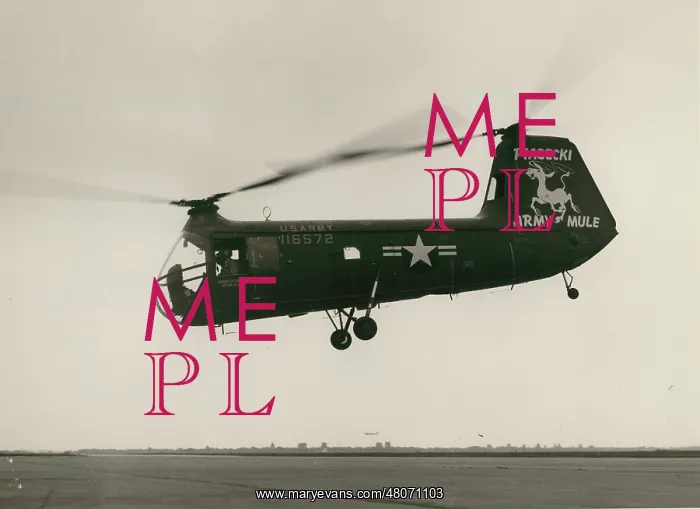 : Piasecki H-25A Army Mule 116572 : Piasecki H-25A Army Mule 116572
