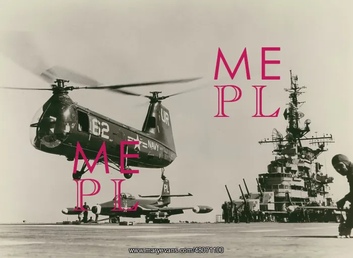 : Piasecki HUP-2 Retriever : Piasecki HUP-2 Retriever