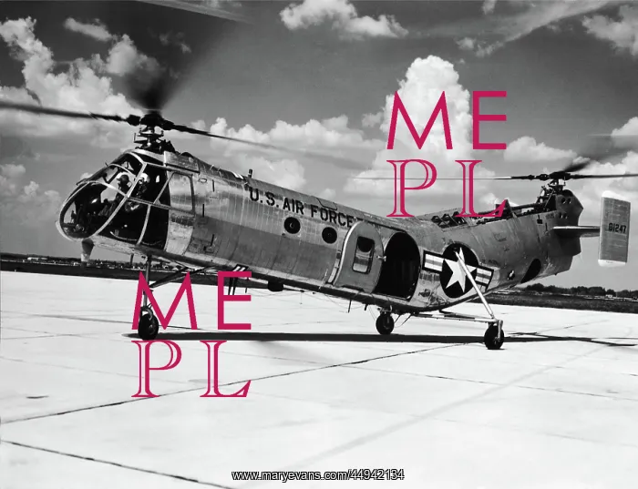: Piasecki YH-21 Work Horse prototype : Piasecki YH-21 Work Horse prototype