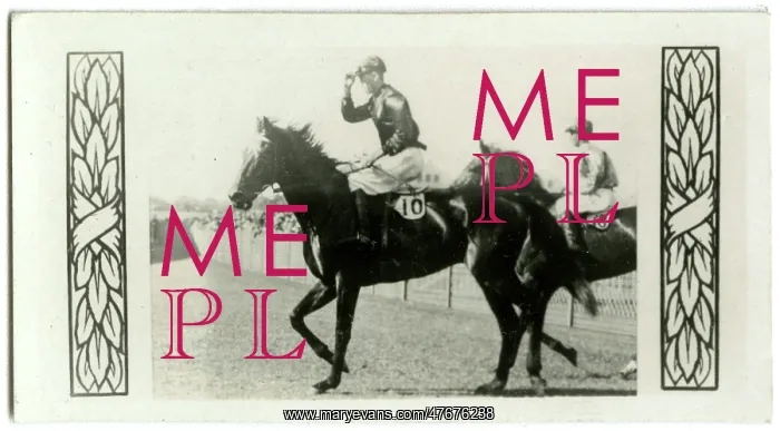 : Piastoon, Australian race horse : Piastoon, Australian race horse