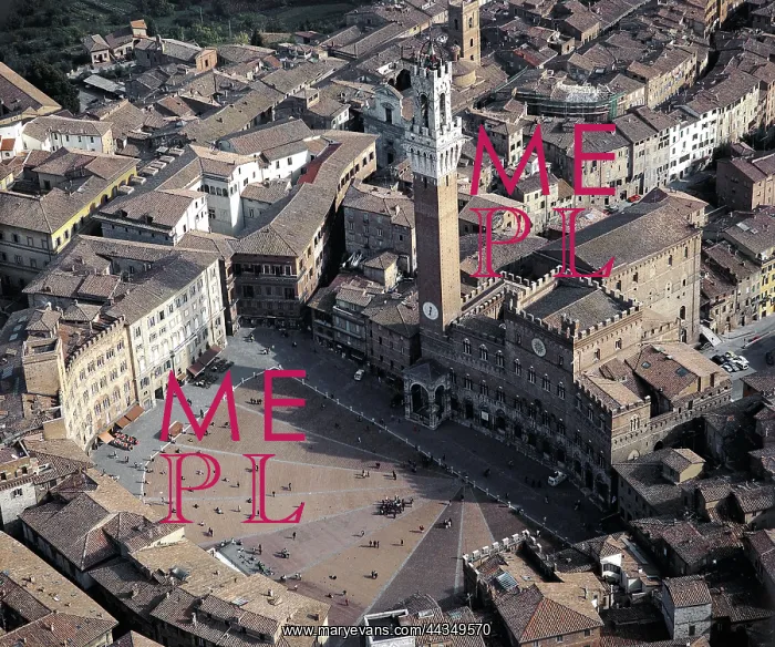 : Piazza del Campo, Siena : Piazza del Campo, Siena