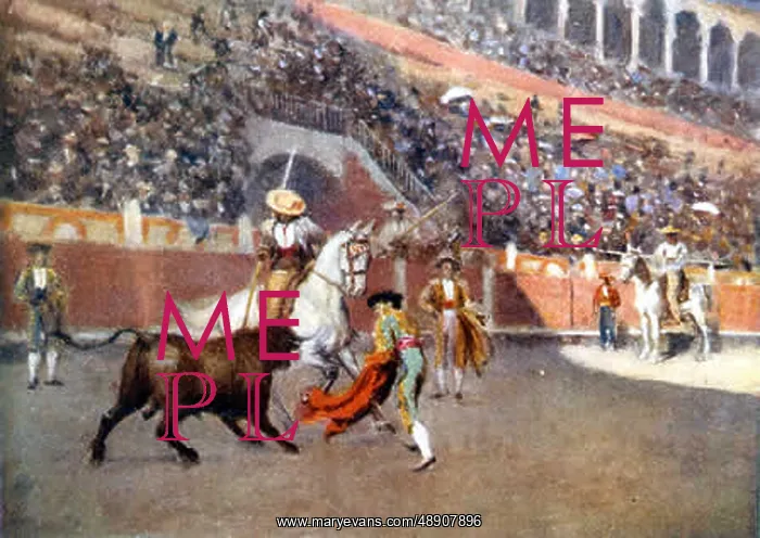 : PICADOR AT MALAGA : PICADOR AT MALAGA