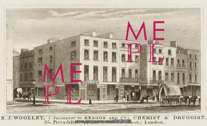 : PICCADILLY SHOPS : PICCADILLY SHOPS