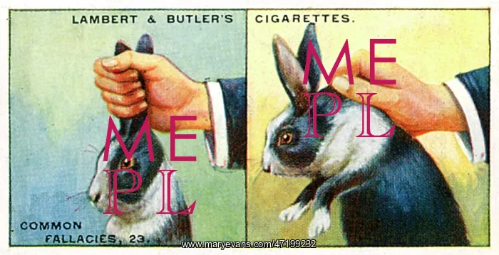 : HOW TO PICK UP RABBITS : HOW TO PICK UP RABBITS