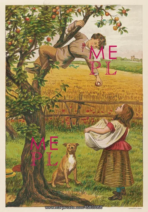 : PICKING APPLES 1878 : PICKING APPLES 1878