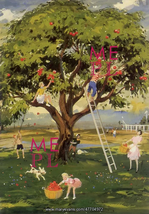  : Picking Apples