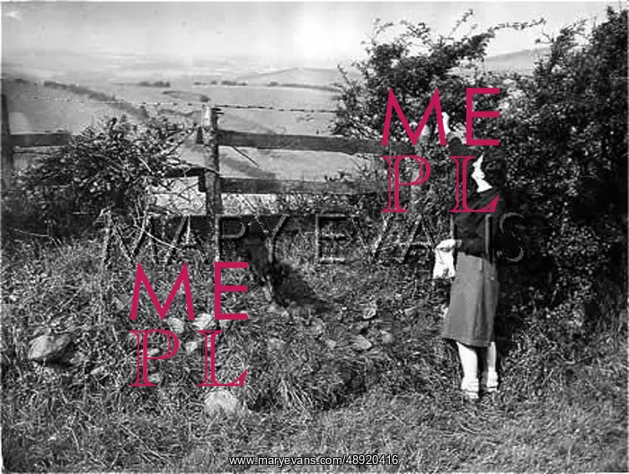  : PICKING BRAMBLES