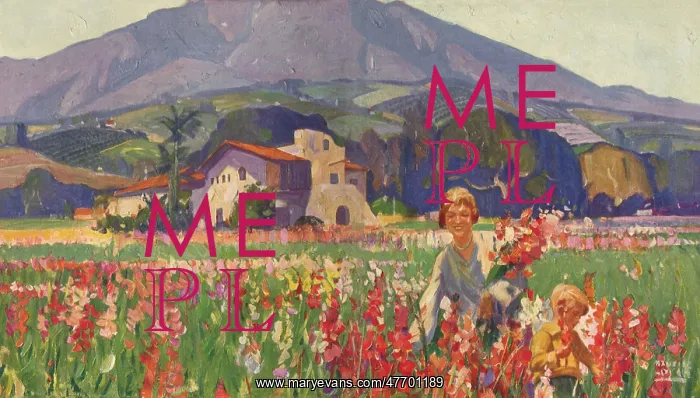  : Picking Flowers