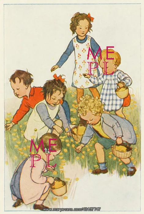: PICKING FLOWERS : PICKING FLOWERS