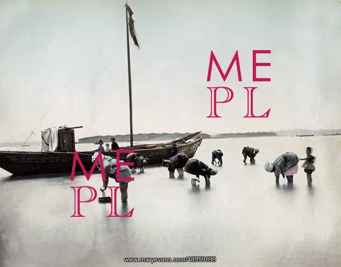 : Picking shellfish close to the shore, Japan, circa 1890 : Picking shellfish close to the shore, Japan, circa 1890