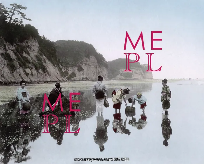 : Picking shellfish along the seashore, Japan, c.1890 : Picking shellfish along the seashore, Japan, c.1890
