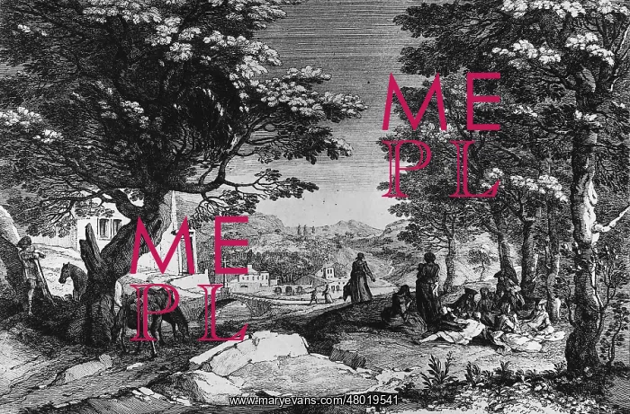 : Picnic in the 18th century : Picnic in the 18th century