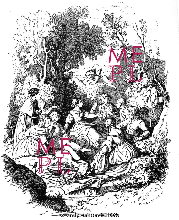 : Picnic in the 19 century : Picnic in the 19 century