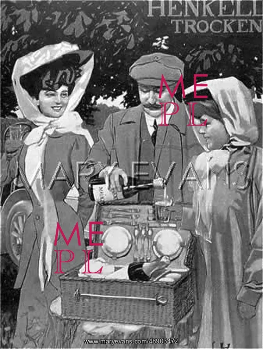 : PICNIC BASKET 1908 : PICNIC BASKET 1908