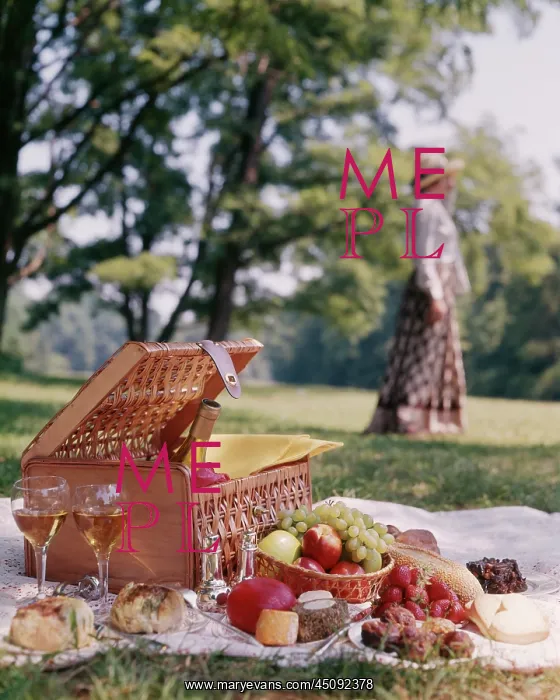 : Picnic Basket Wine Cheese Fruit Bread Soft Focus : Picnic Basket Wine Cheese Fruit Bread Soft Focus