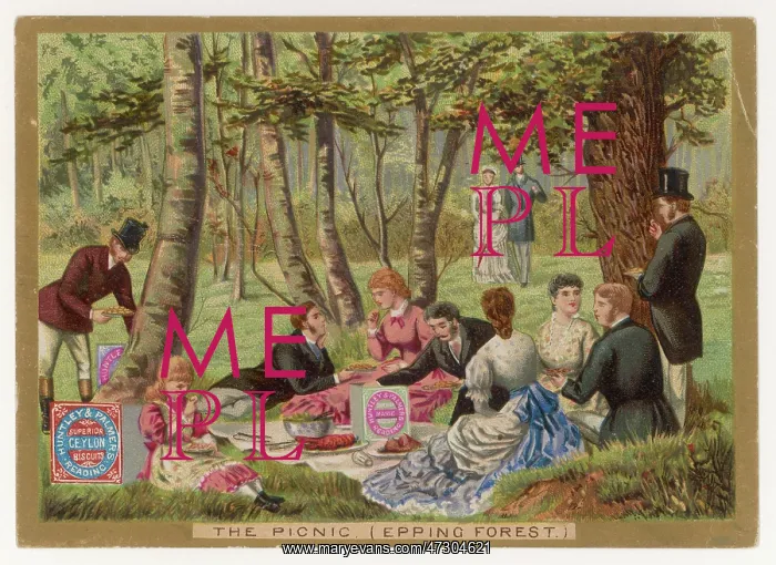 : PICNIC WITH BISCUITS : PICNIC WITH BISCUITS