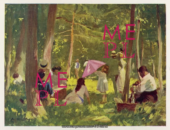 : PICNIC IN BOIS 1910 : PICNIC IN BOIS 1910