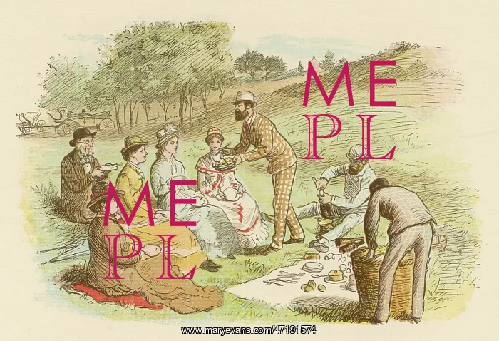 : PICNIC CALDECOTT : PICNIC CALDECOTT