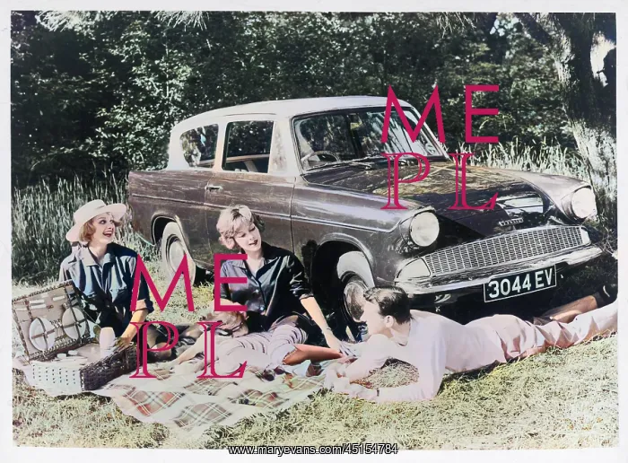 : PICNIC IN THE COUNTRY : PICNIC IN THE COUNTRY