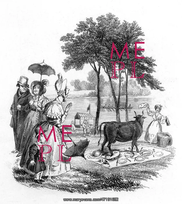 : PICNIC & COW / SEYMOUR : PICNIC & COW / SEYMOUR