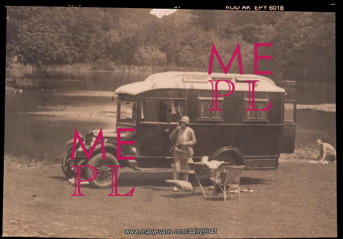 : PICNIC / COWDREY PARK : PICNIC / COWDREY PARK