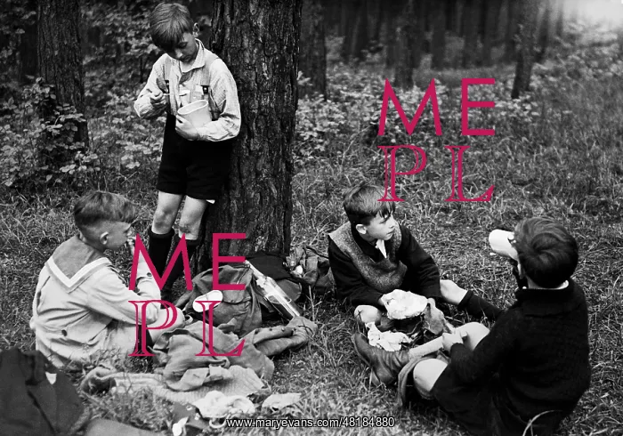 : Picnic in the forest, 1935 : Picnic in the forest, 1935