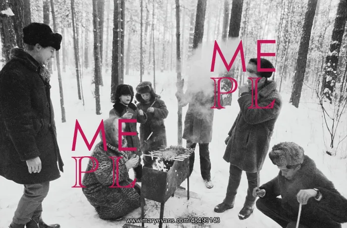 : Picnic in forest : Picnic in forest