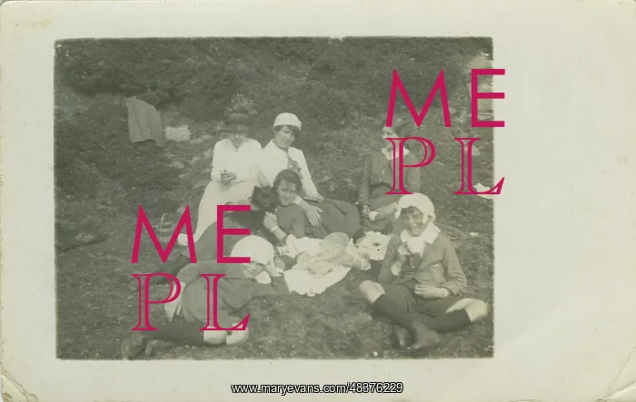  : Picnic Gathering